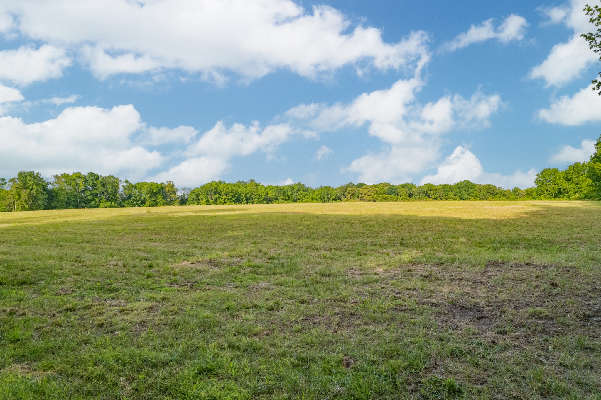 0 Dooley Road Ethridge TN 38456
