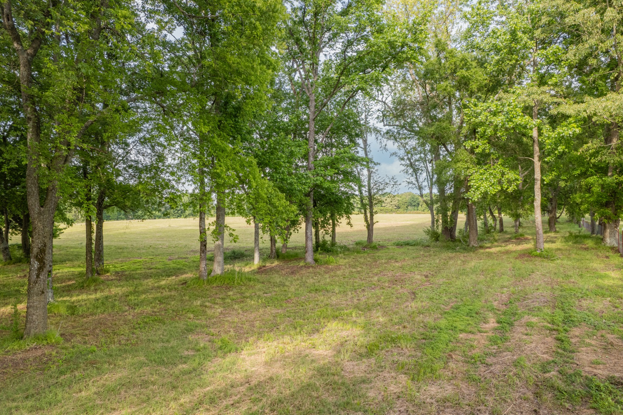 0 Dooley Road Ethridge TN 38456