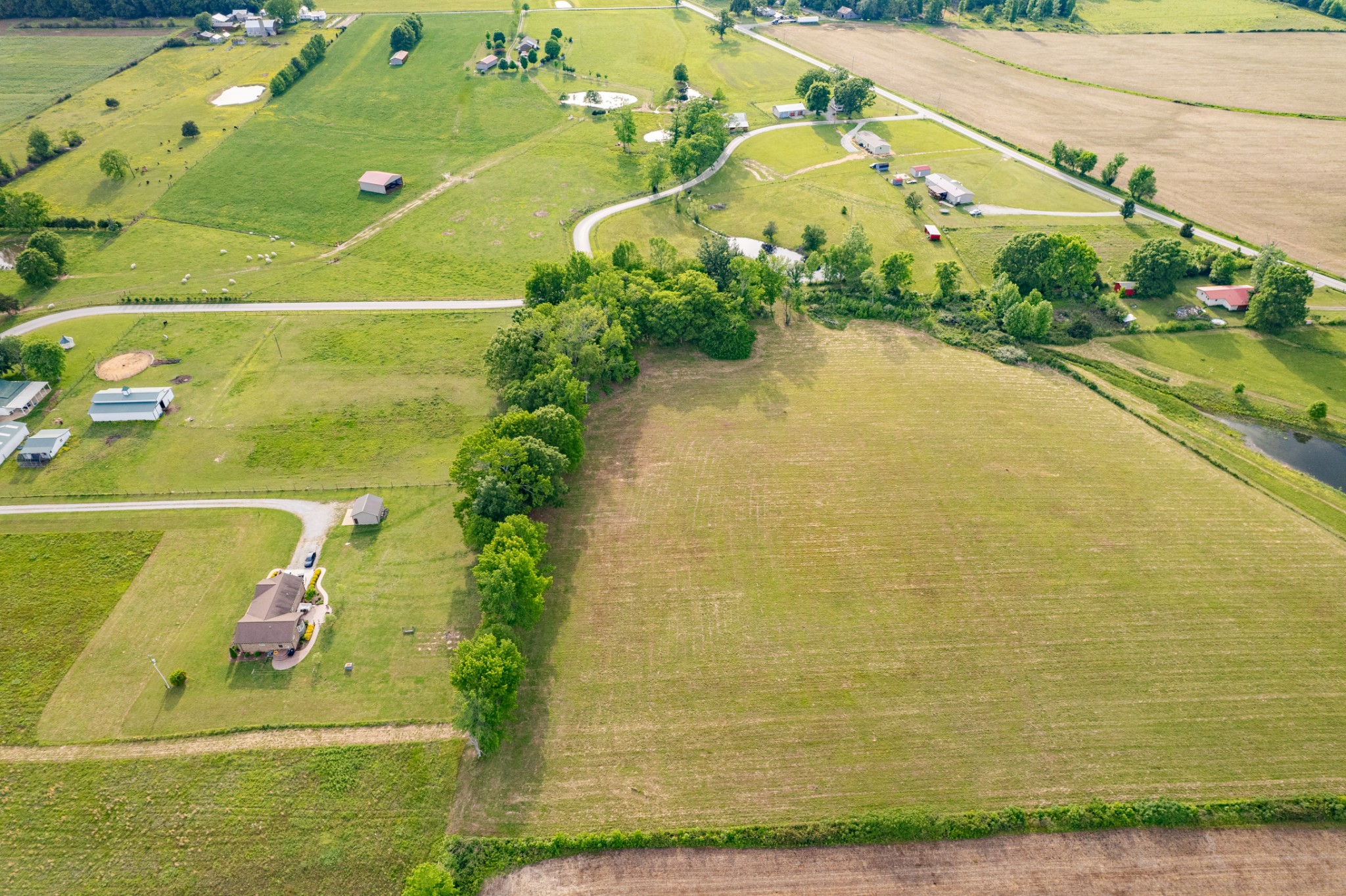 0 Dooley Road Ethridge TN 38456