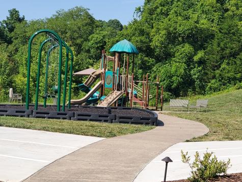 7225 Sky Meadow Drive College Grove TN 37046