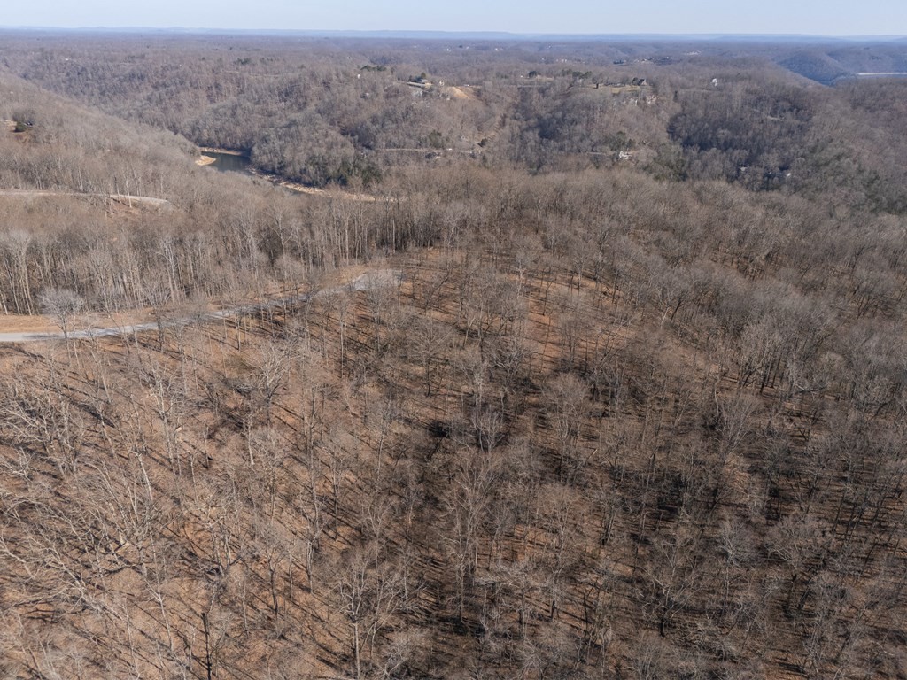0 Back Ranch Drive Silver Point TN 38582