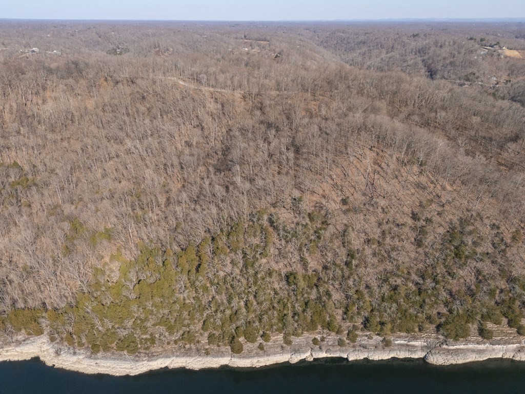 0 Back Ranch Drive Silver Point TN 38582