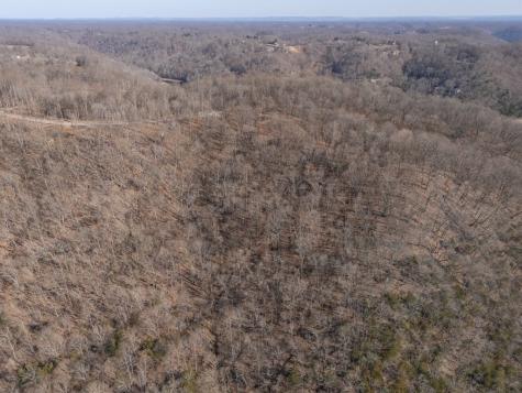 0 Back Ranch Drive Silver Point TN 38582