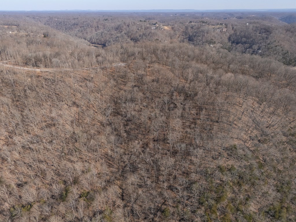0 Back Ranch Drive Silver Point TN 38582