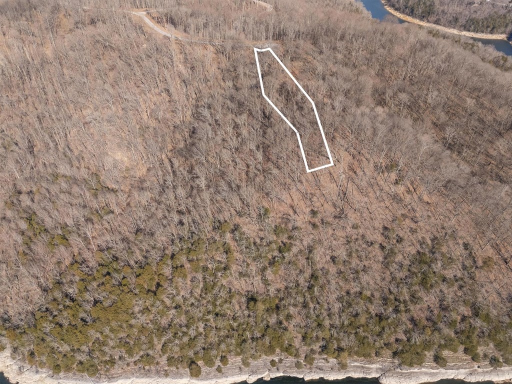0 Back Ranch Drive Silver Point TN 38582