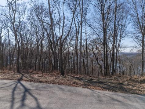 0 Back Ranch Drive Silver Point TN 38582