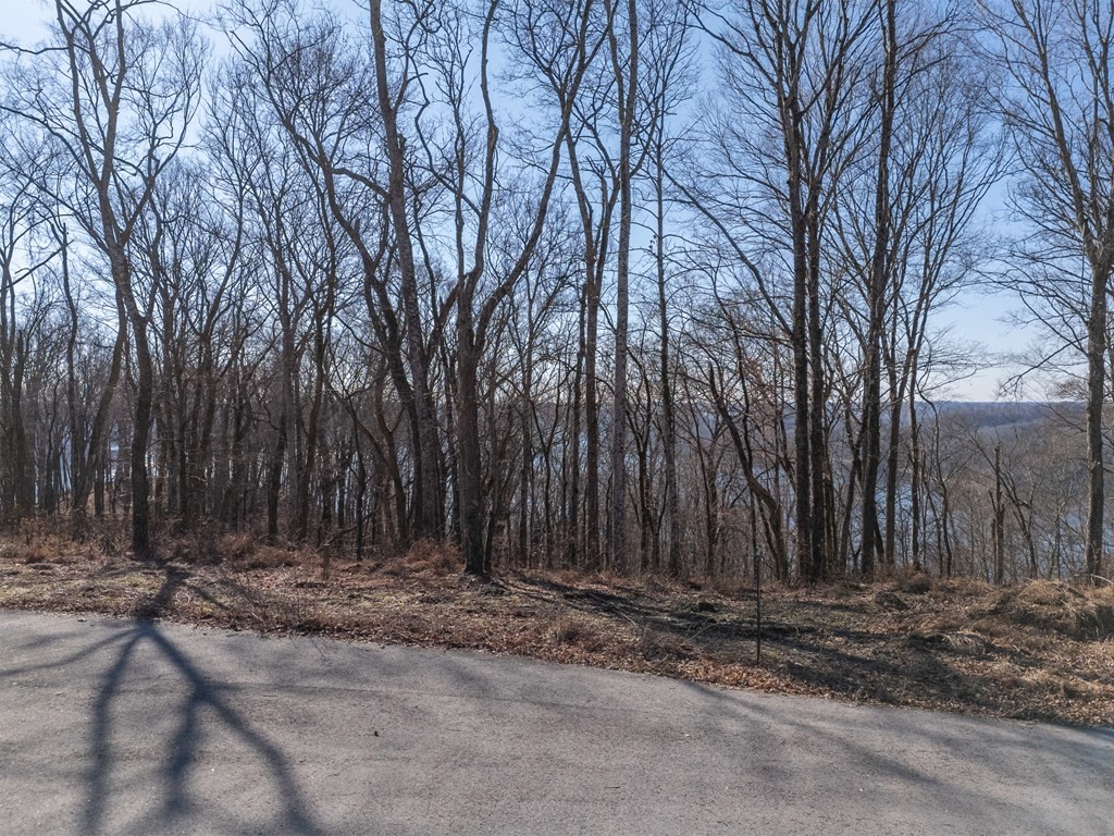 0 Back Ranch Drive Silver Point TN 38582