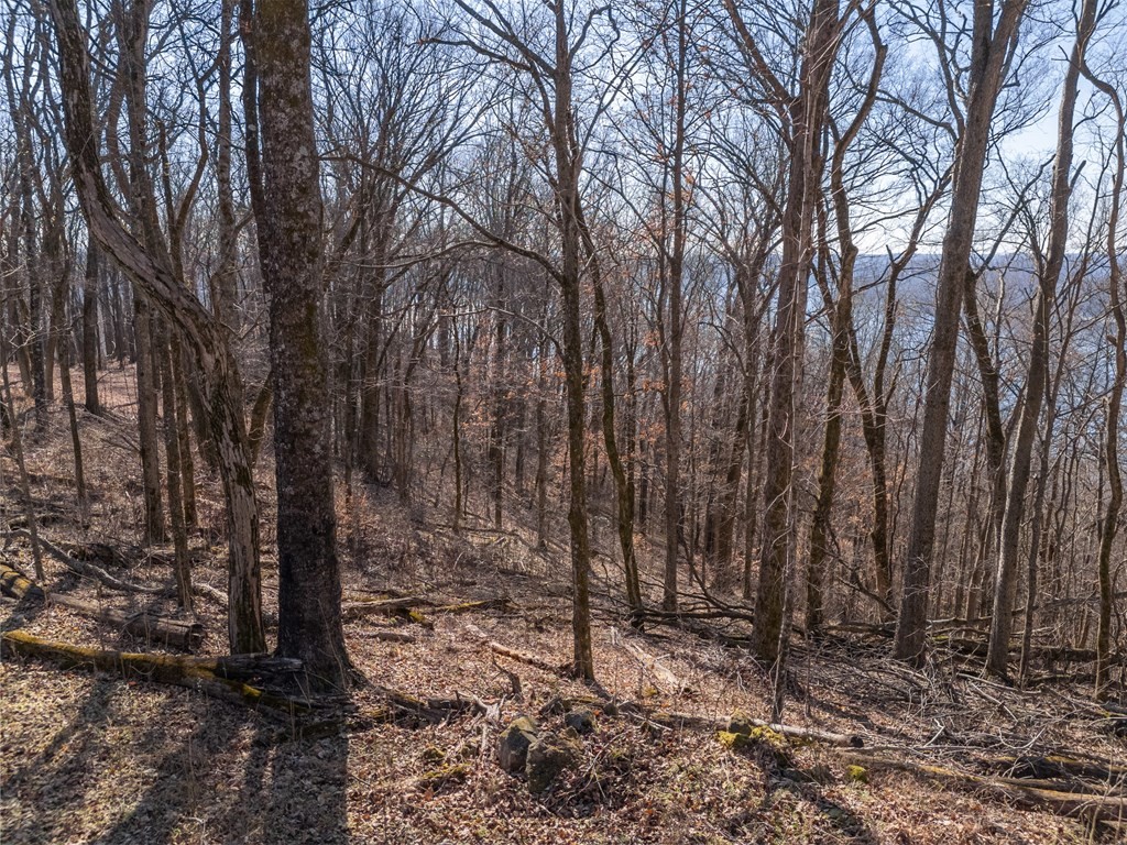 0 Back Ranch Drive Silver Point TN 38582