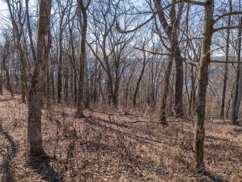 0 Back Ranch Drive Silver Point TN 38582