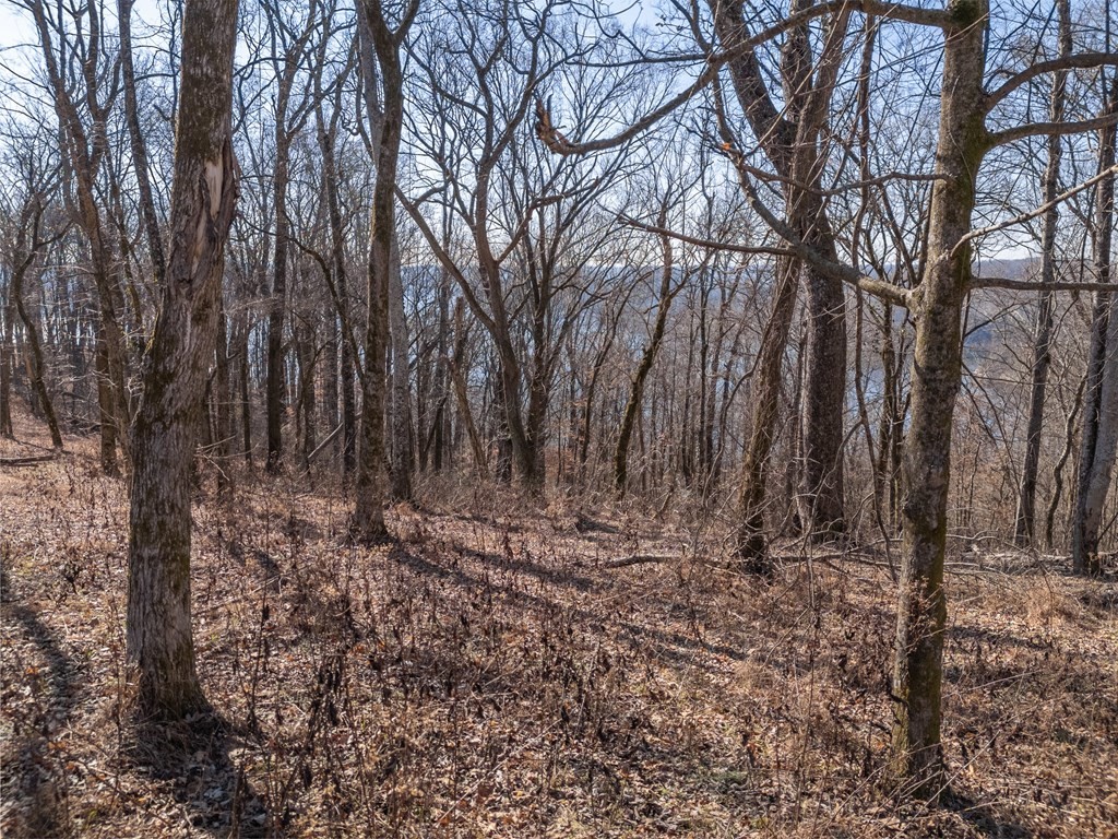 0 Back Ranch Drive Silver Point TN 38582