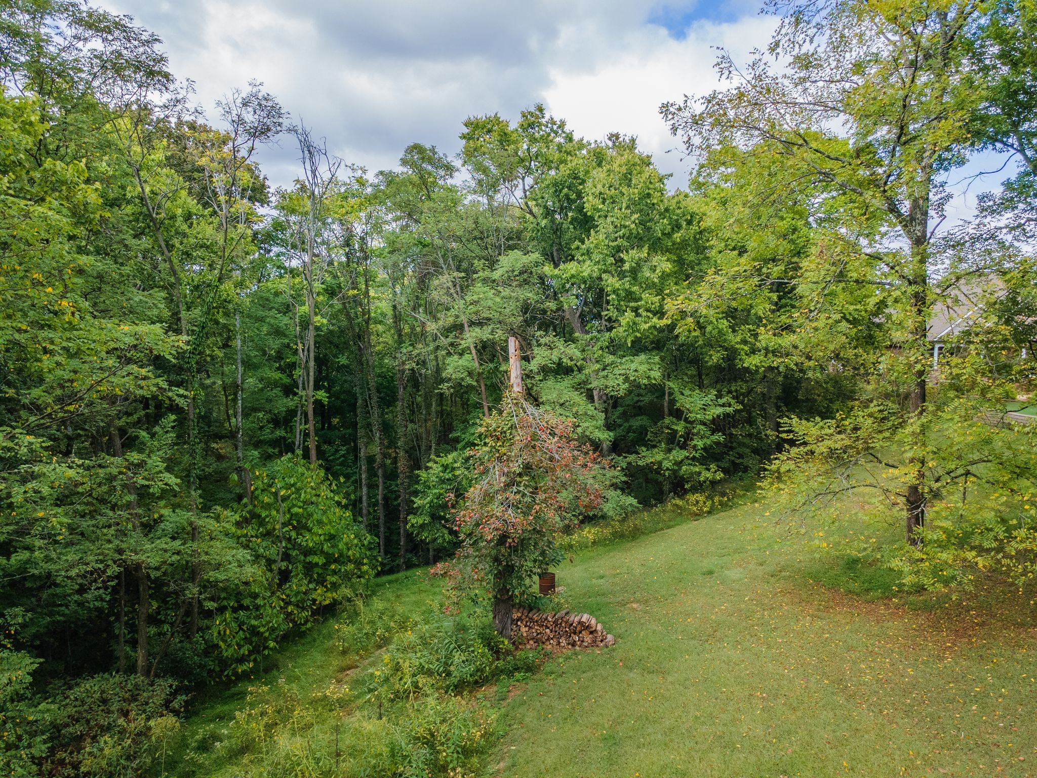 1202 Valarie Lane Columbia TN 38401