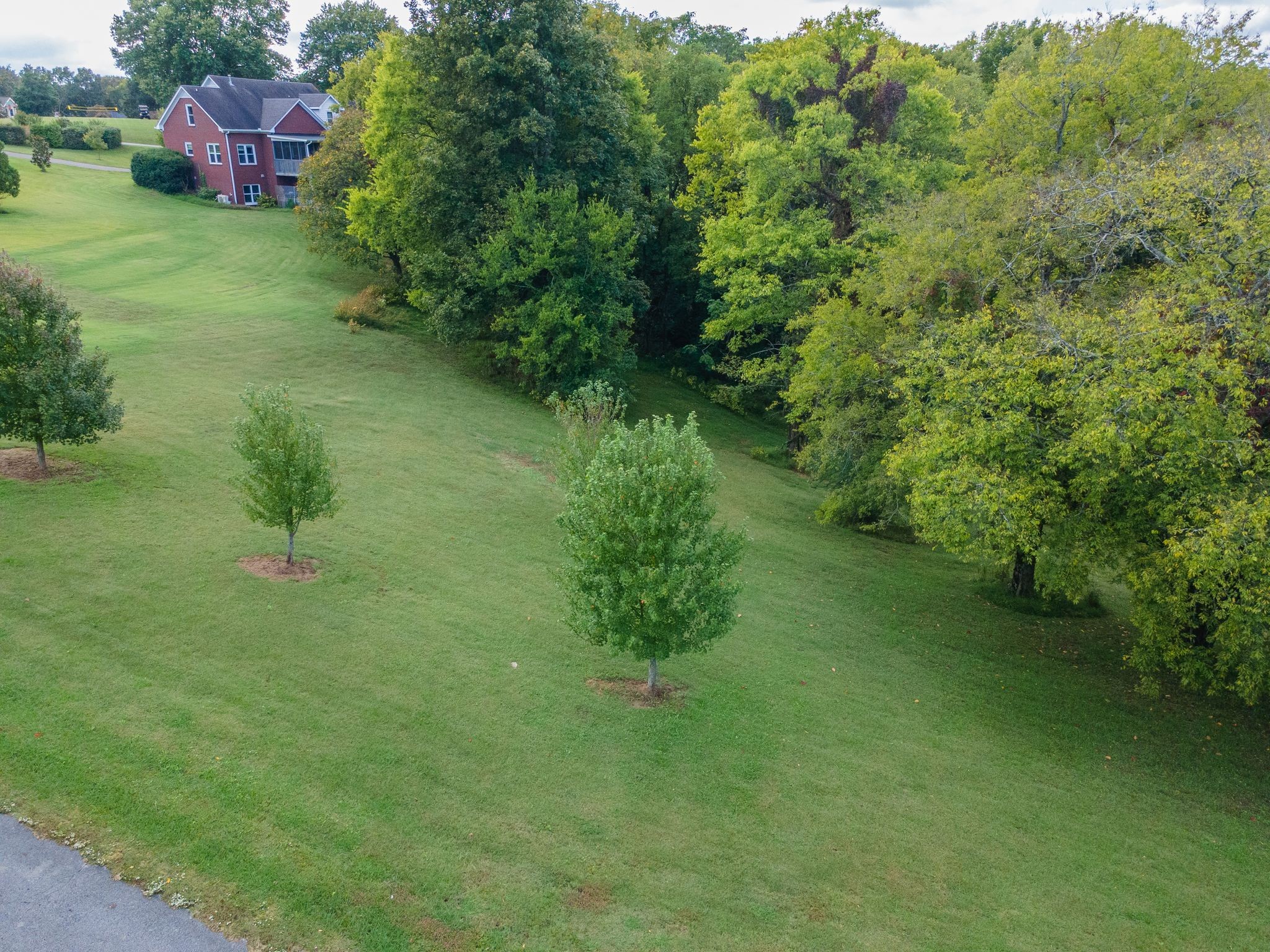 1202 Valarie Lane Columbia TN 38401