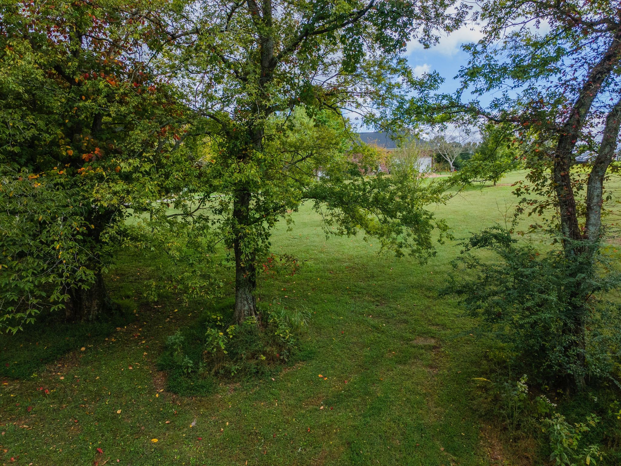 1202 Valarie Lane Columbia TN 38401
