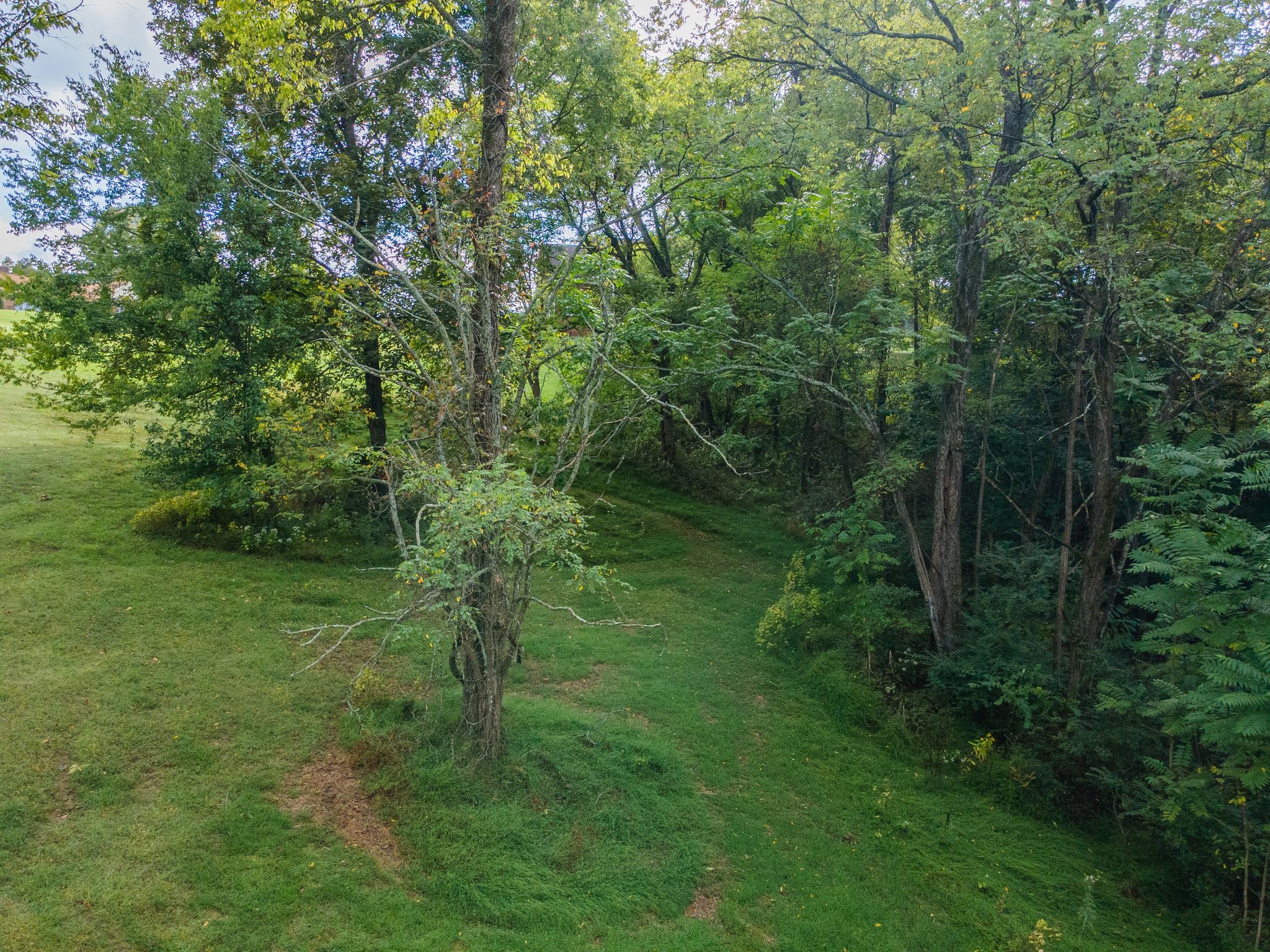 1202 Valarie Lane Columbia TN 38401