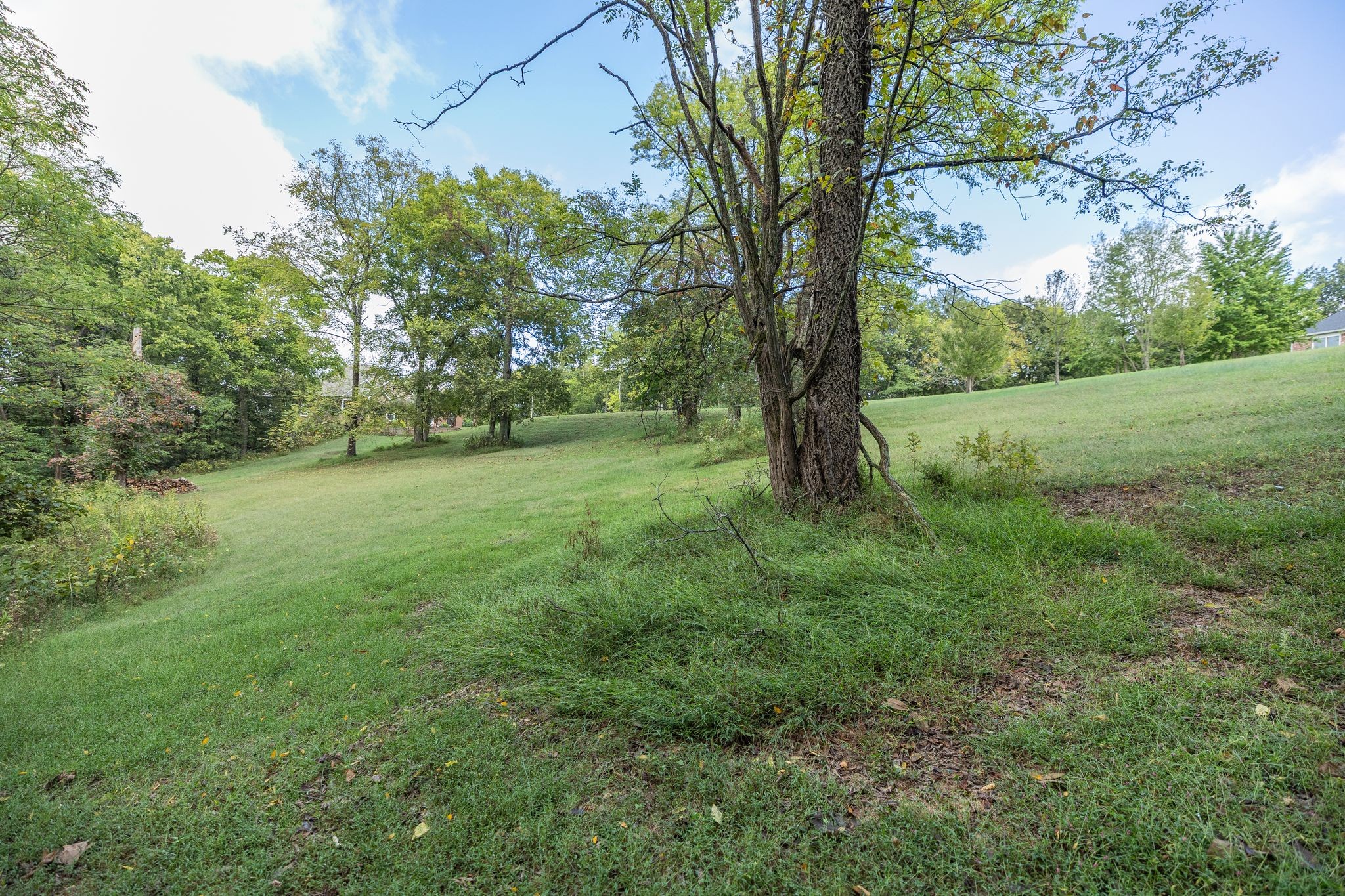 1202 Valarie Lane Columbia TN 38401