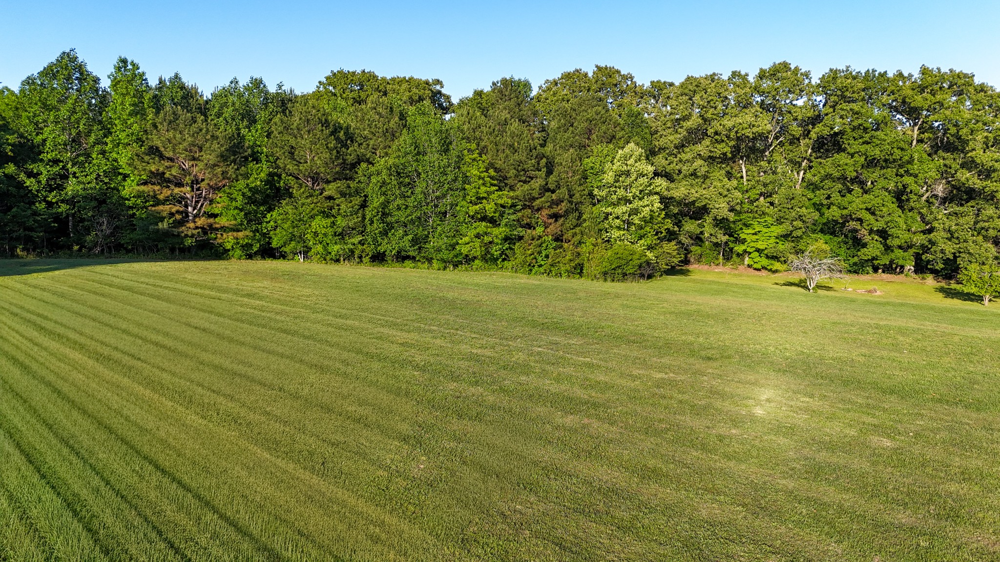185 Savannah Drive Buchanan TN 38222