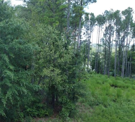 0 Castaway Lane Jasper TN 37347