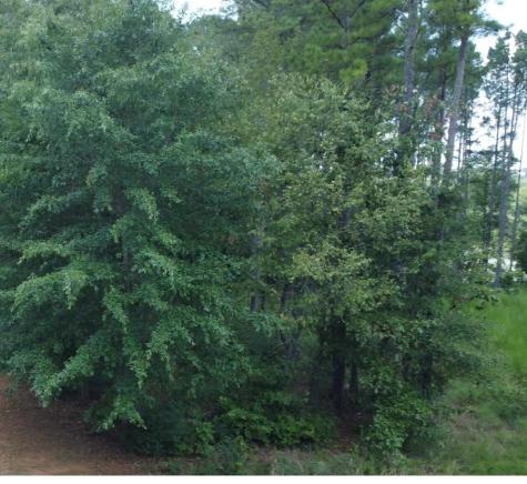 0 Castaway Lane Jasper TN 37347