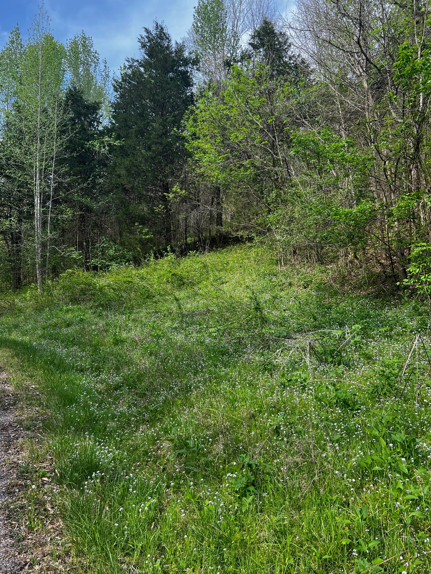 0 Weber Lane Celina TN 38551