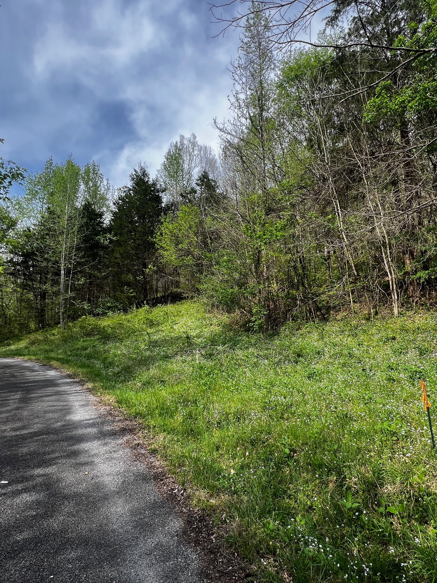 0 Weber Lane Celina TN 38551