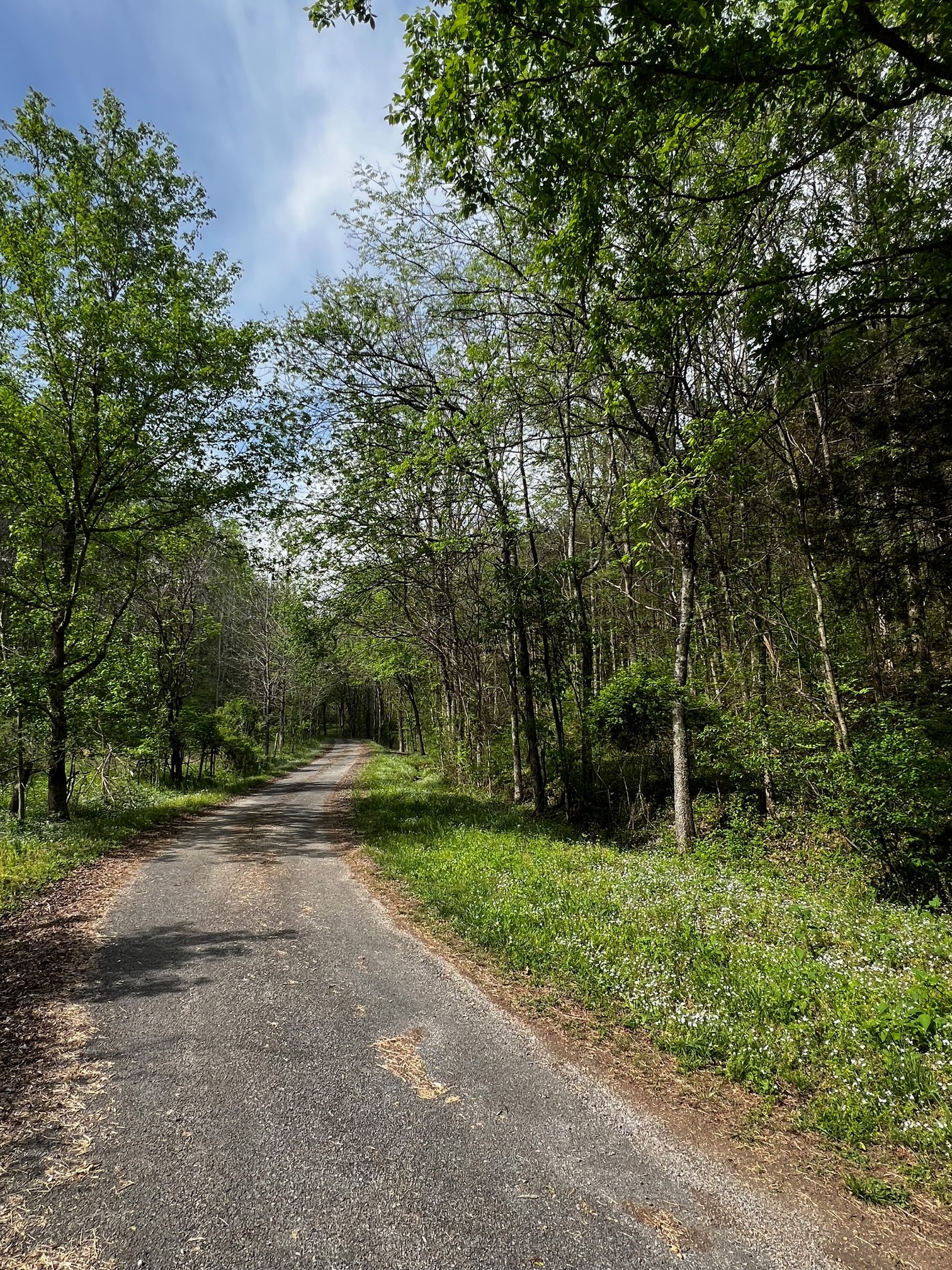 0 Weber Lane Celina TN 38551