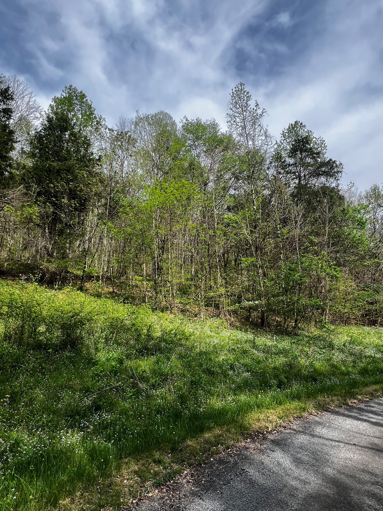0 Weber Lane Celina TN 38551