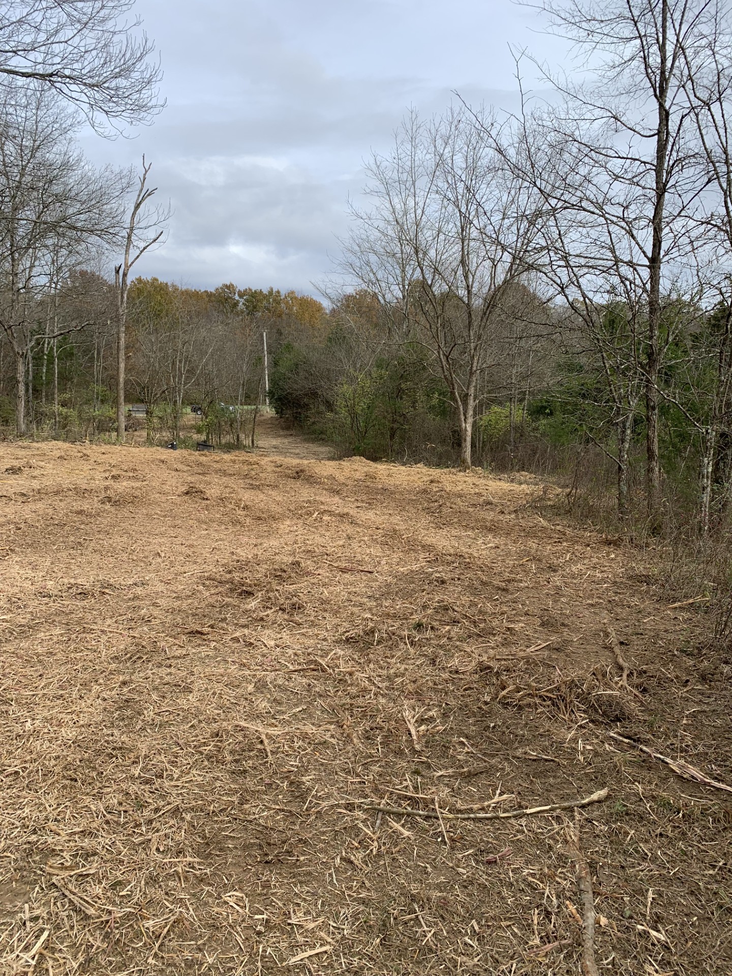 0 Plain View Spring Hill TN 37174