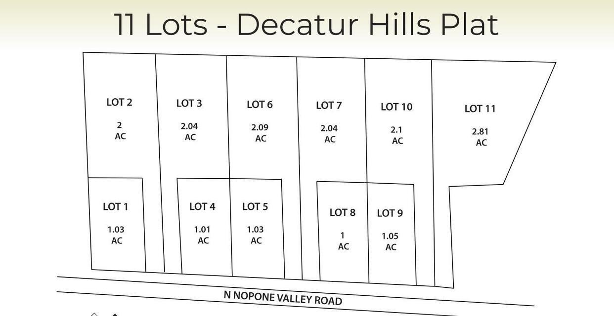 5 N Nopone Valley Road Decatur TN 37322