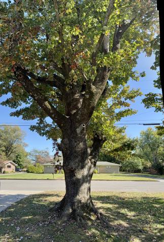 1619 Grigg Avenue Murfreesboro TN 37129