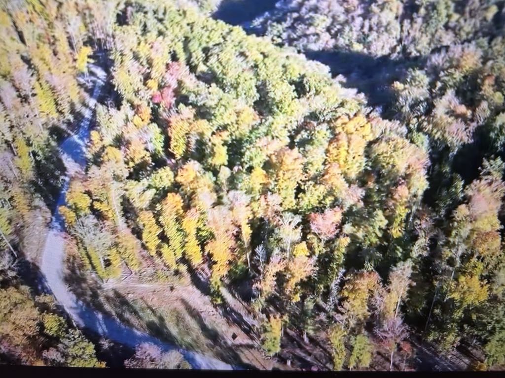 0 Ridgeway Drive Sparta TN 38583
