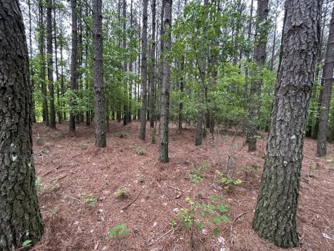 1771 Crockett Point Jasper TN 37347