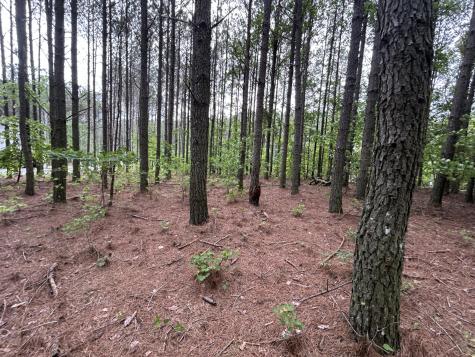 1771 Crockett Point Jasper TN 37347