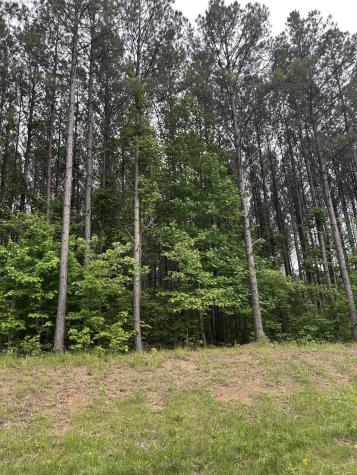 1771 Crockett Point Jasper TN 37347