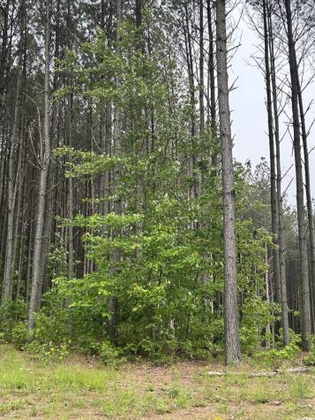 1771 Crockett Point Jasper TN 37347