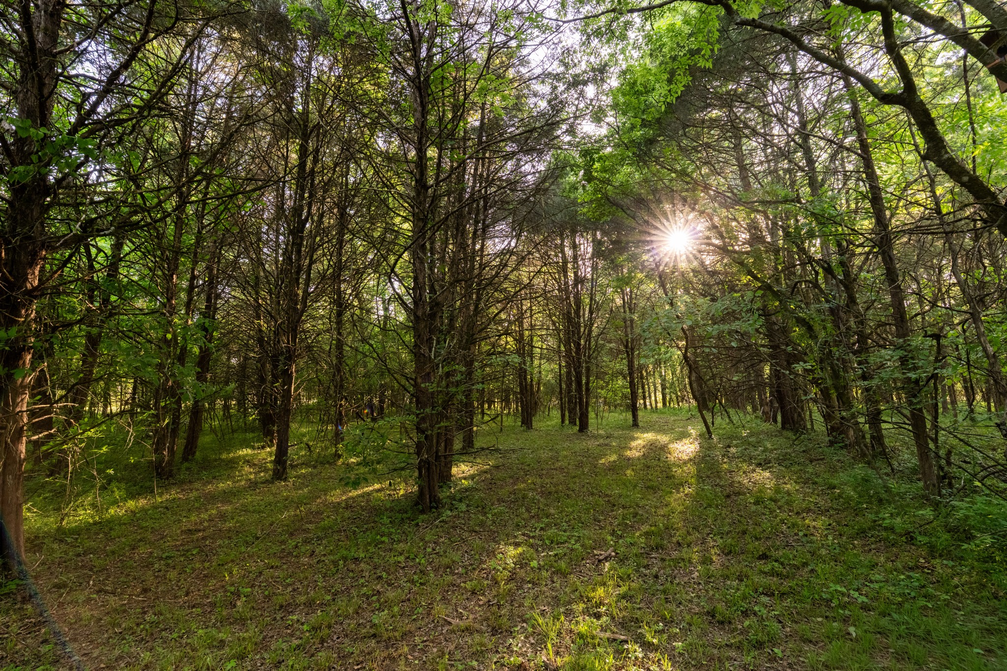 507 Fellowship Road Mount Juliet TN 37122