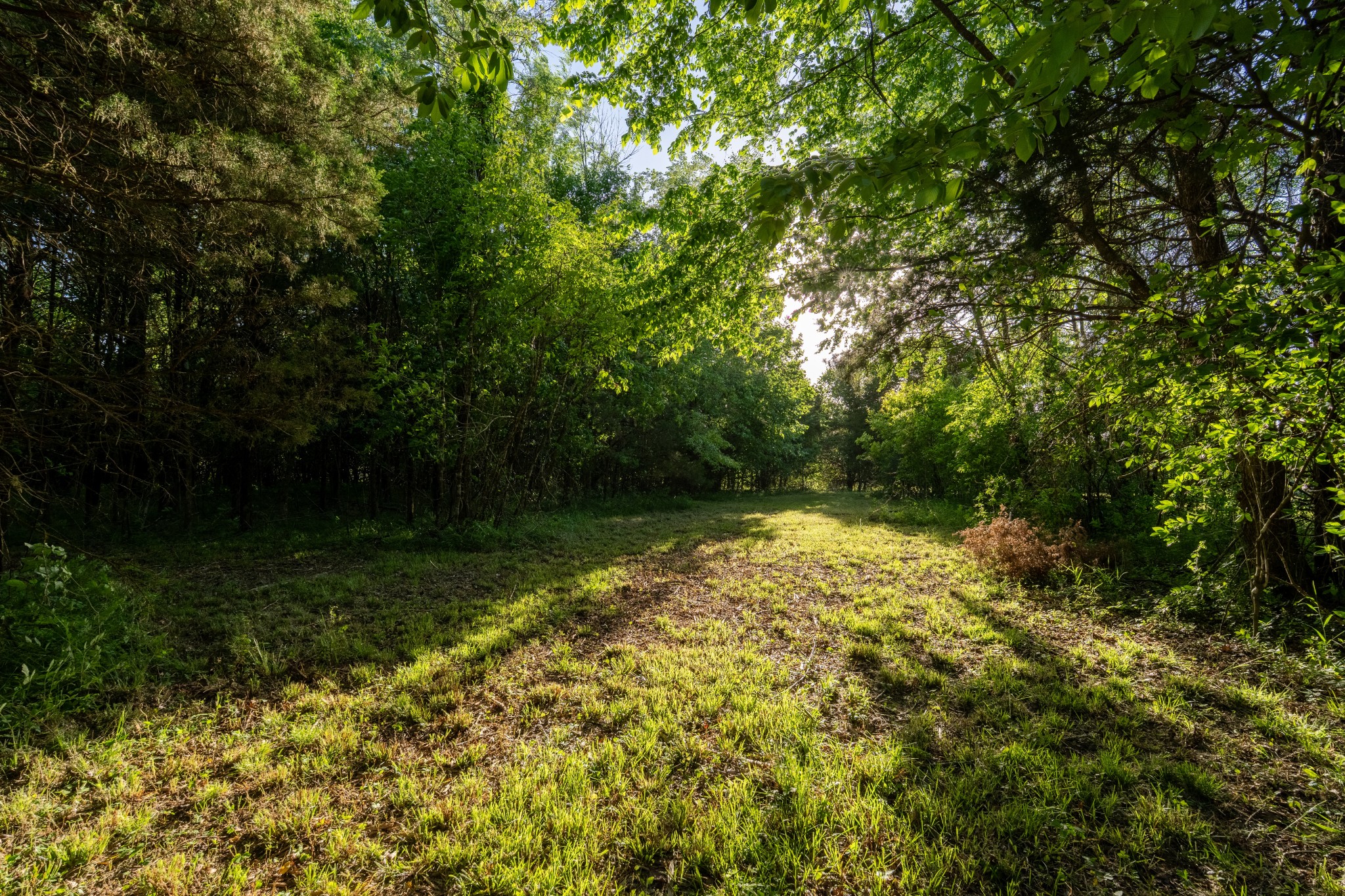 507 Fellowship Road Mount Juliet TN 37122