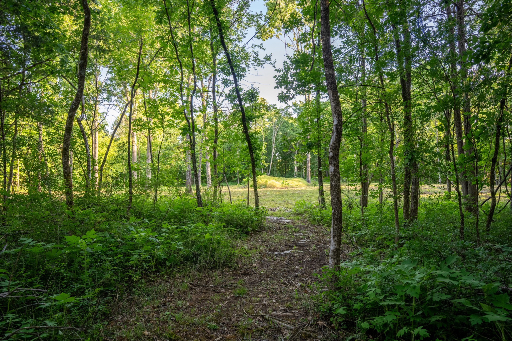 507 Fellowship Road Mount Juliet TN 37122