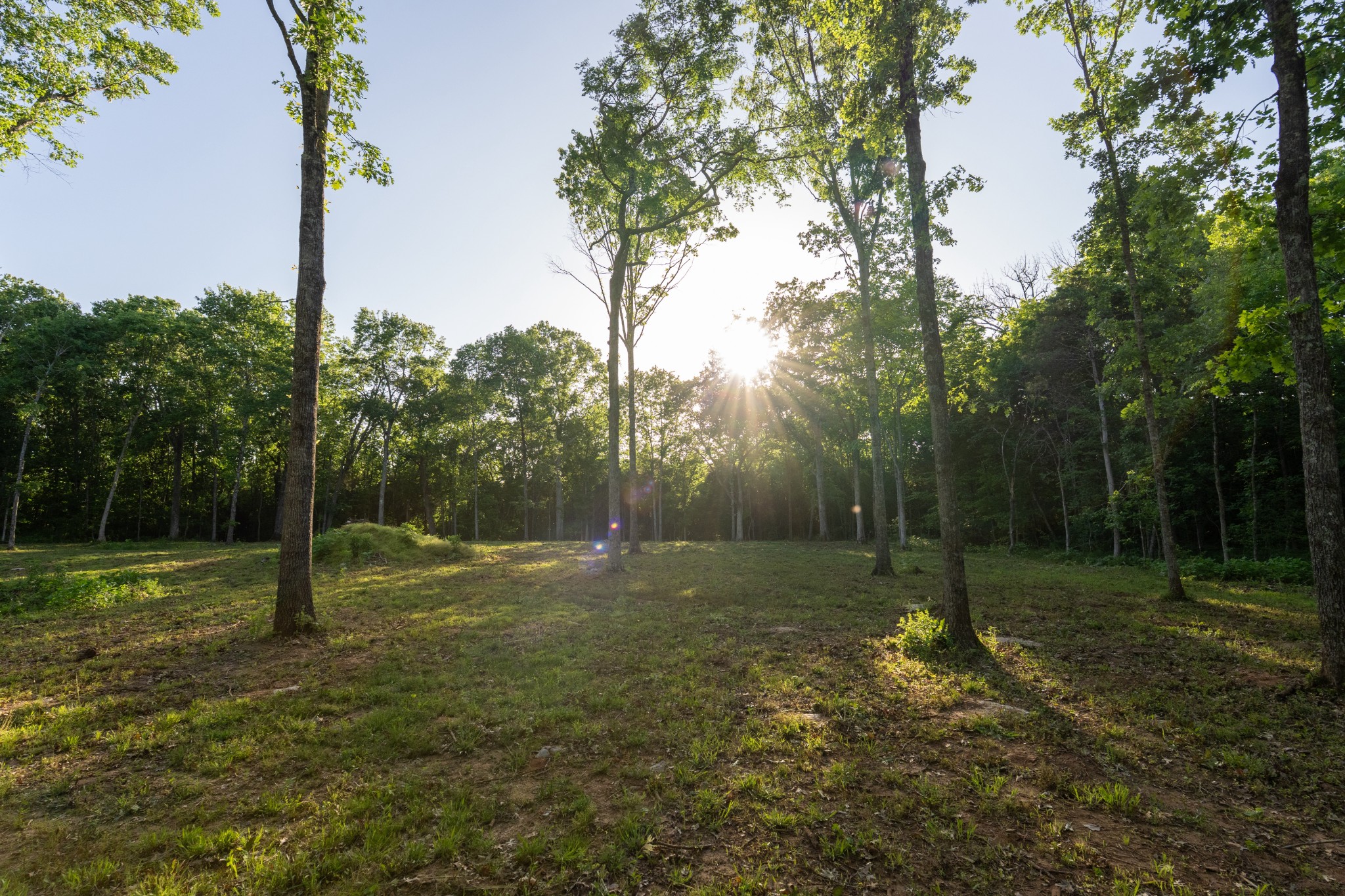 507 Fellowship Road Mount Juliet TN 37122