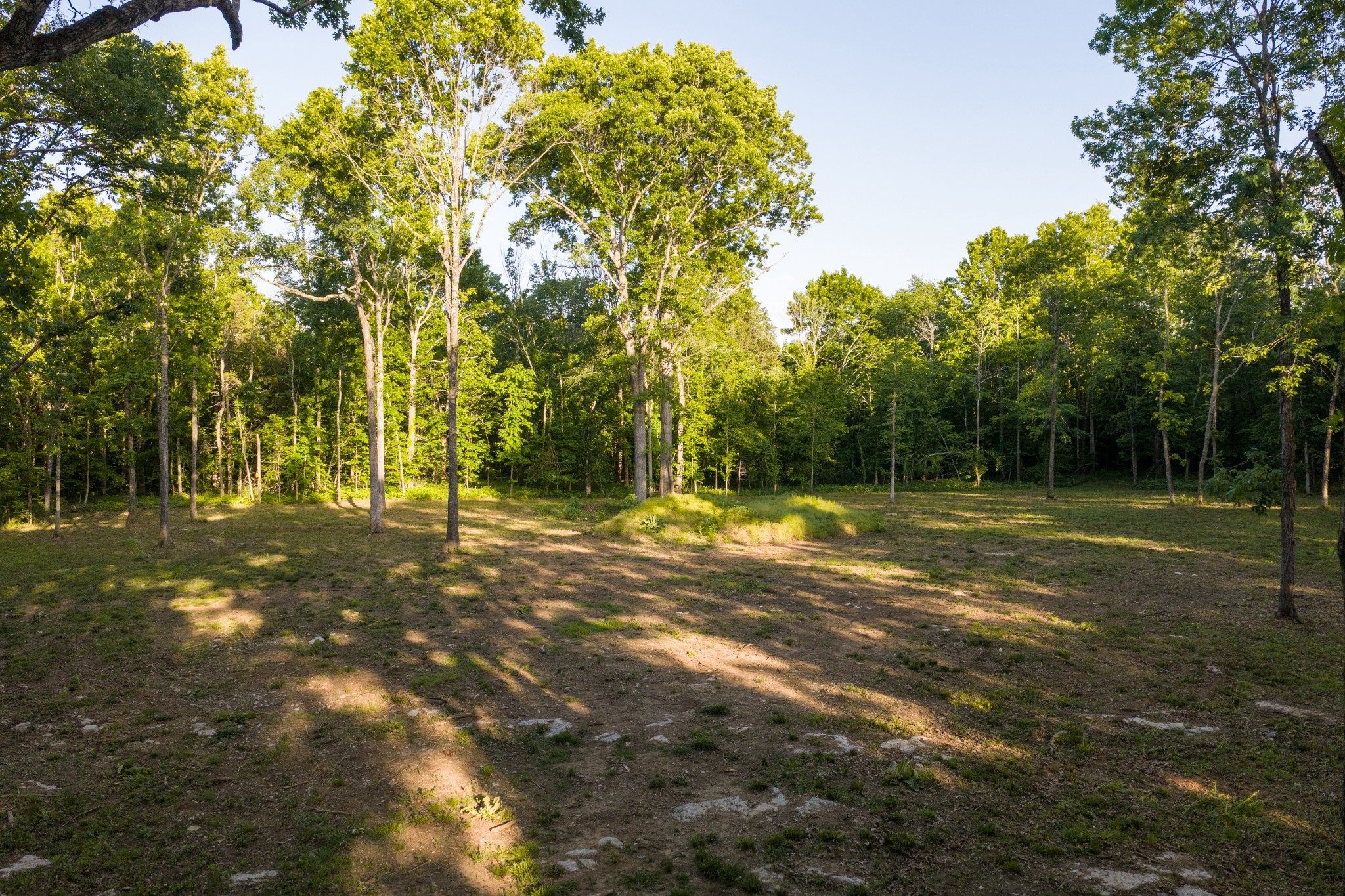 507 Fellowship Road Mount Juliet TN 37122