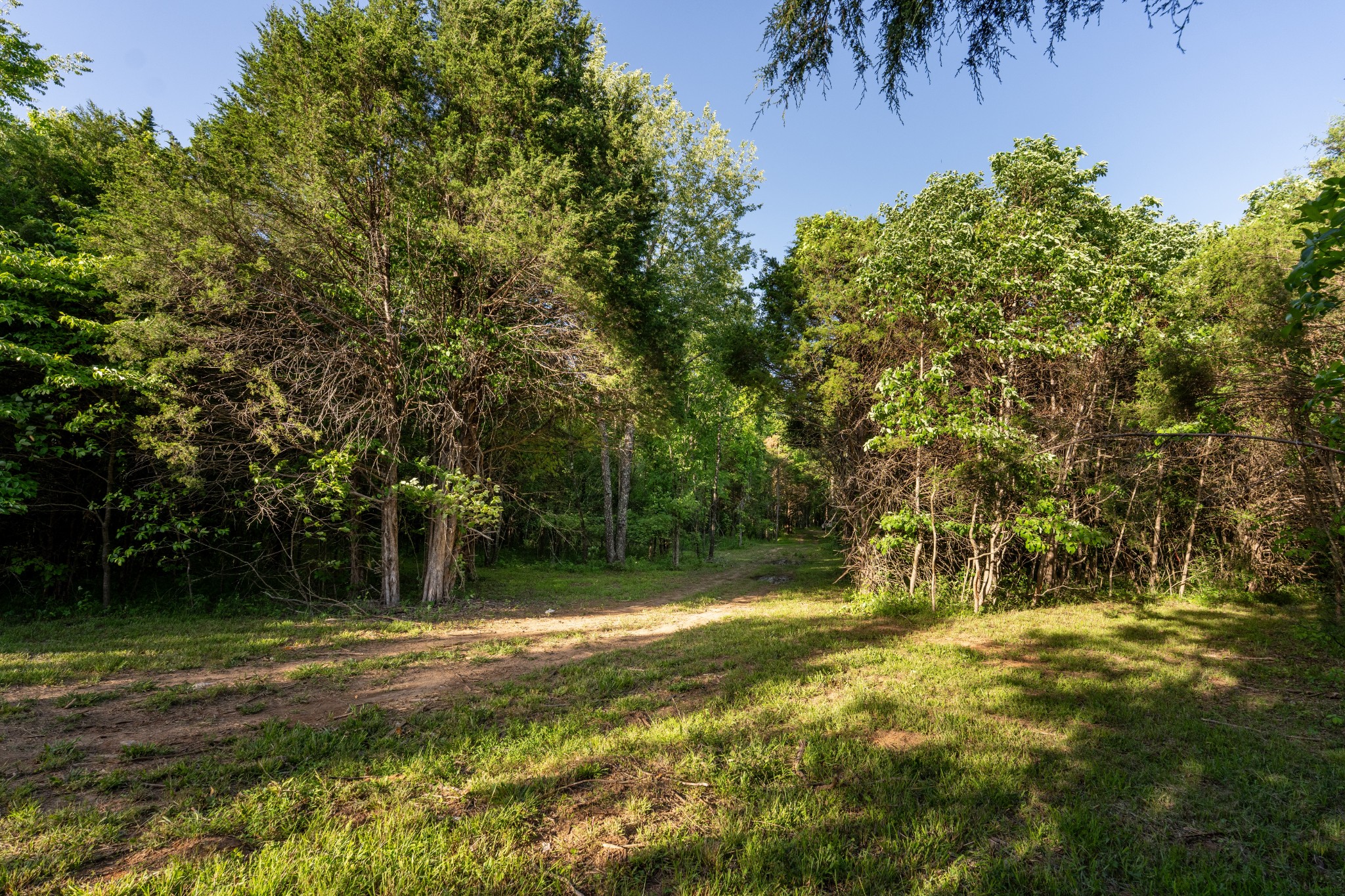 507 Fellowship Road Mount Juliet TN 37122
