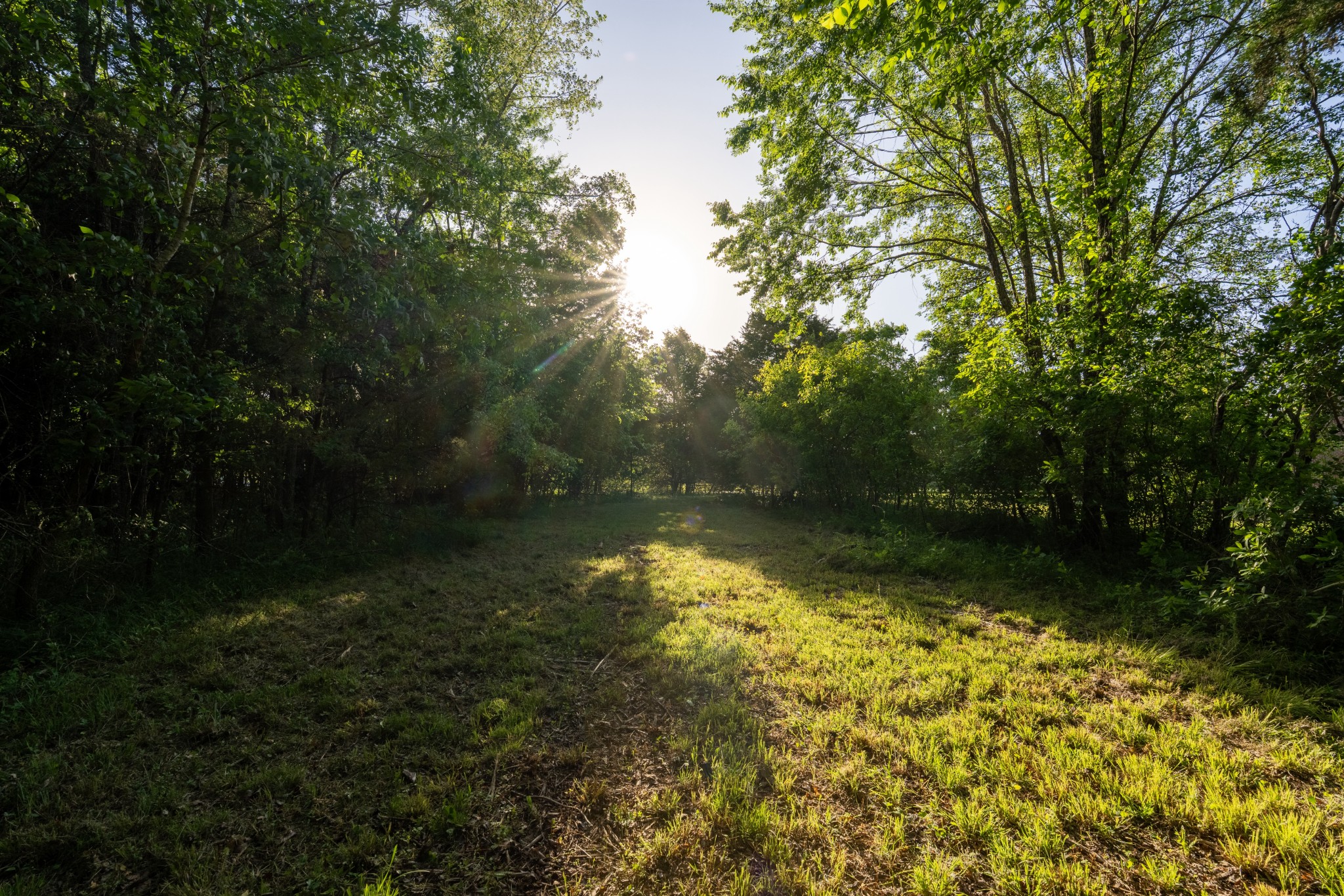 507 Fellowship Road Mount Juliet TN 37122