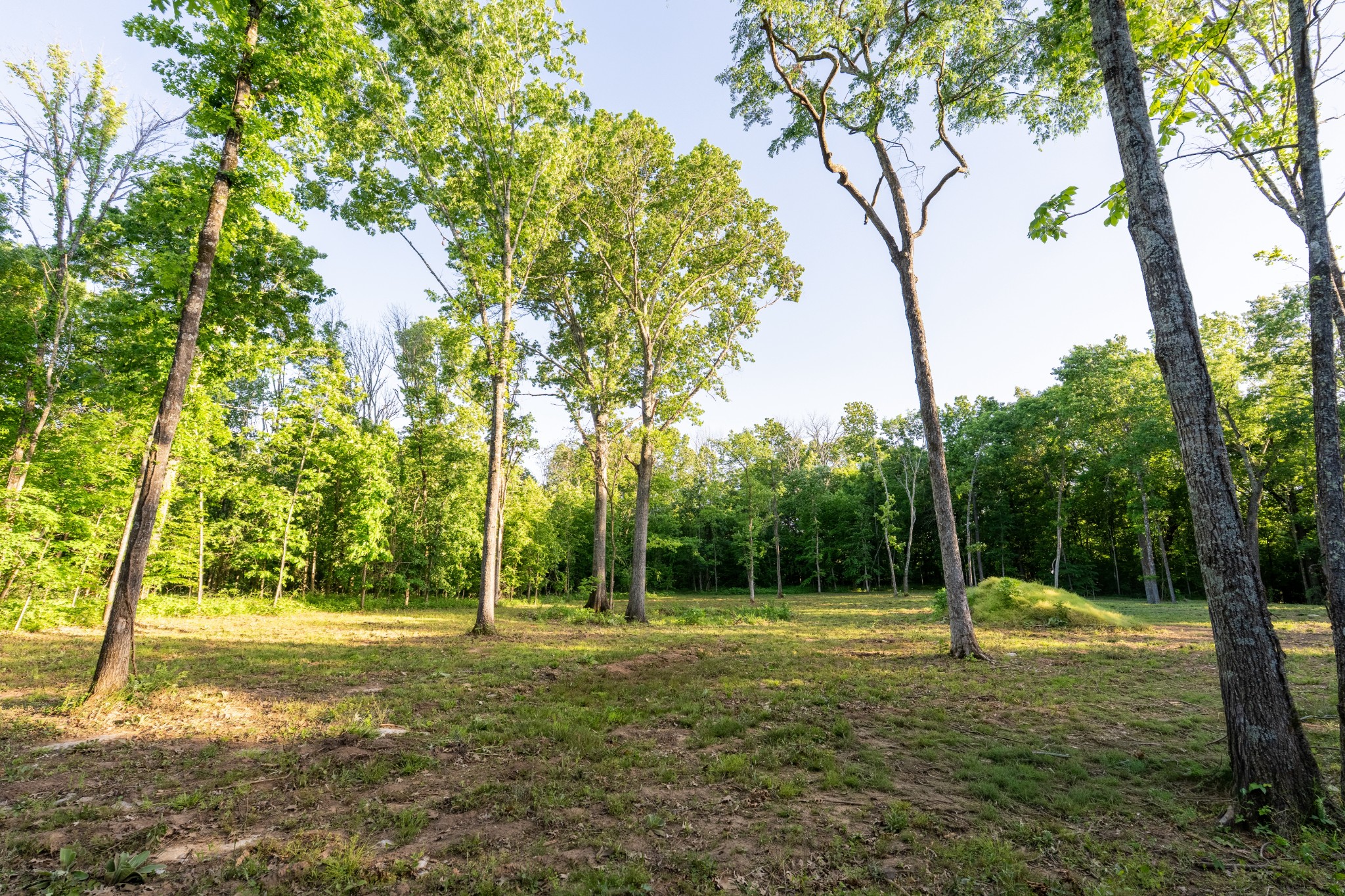 507 Fellowship Road Mount Juliet TN 37122