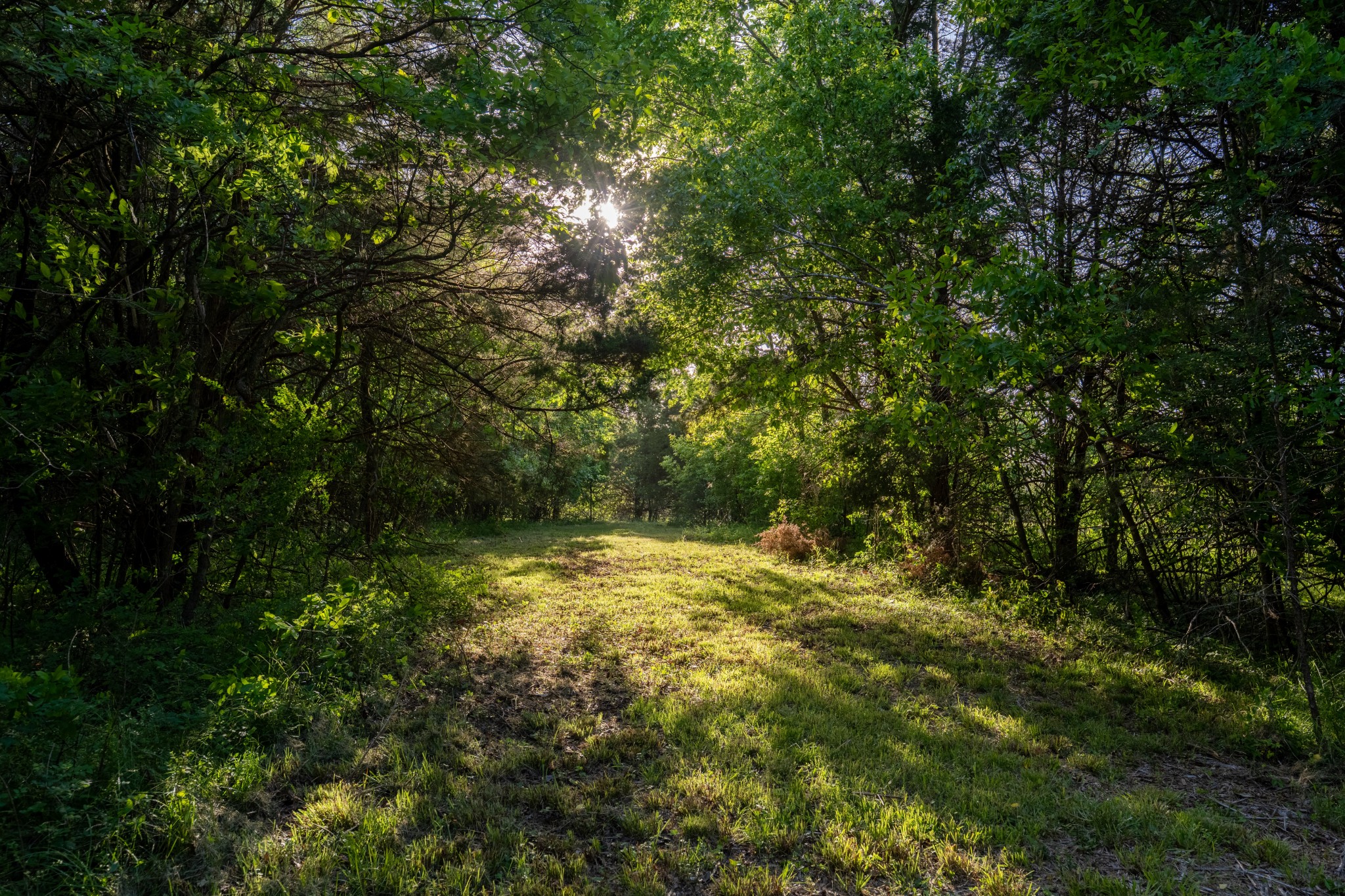 507 Fellowship Road Mount Juliet TN 37122