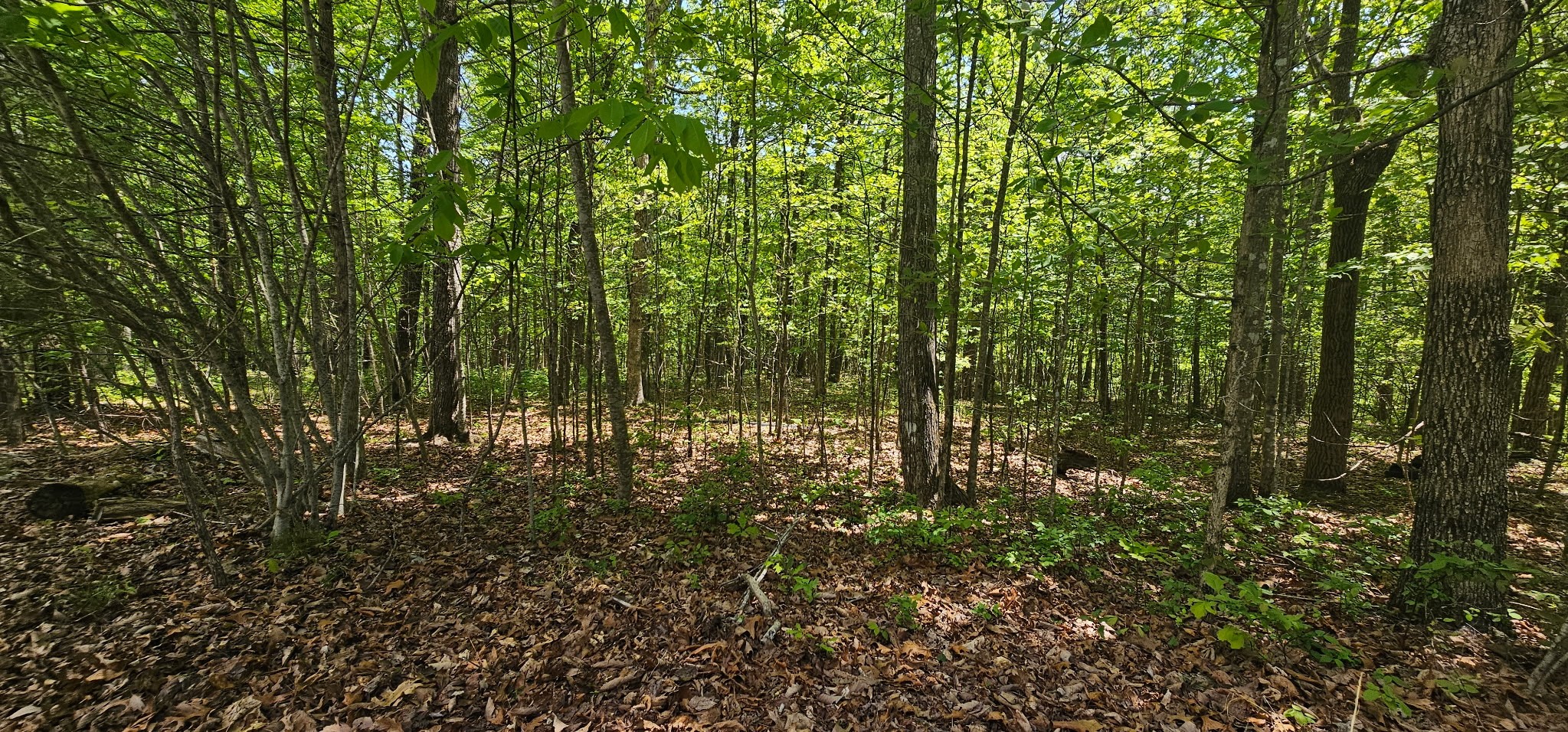 0 Twilight Trail Dunlap TN 37327