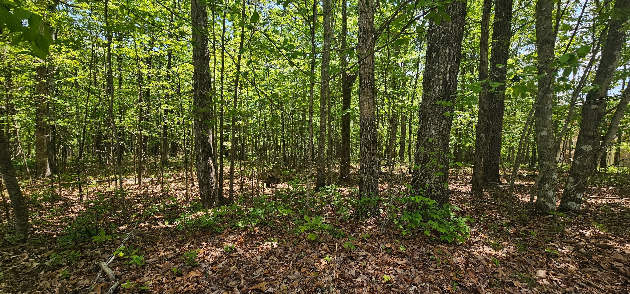 0 Twilight Trail Dunlap TN 37327