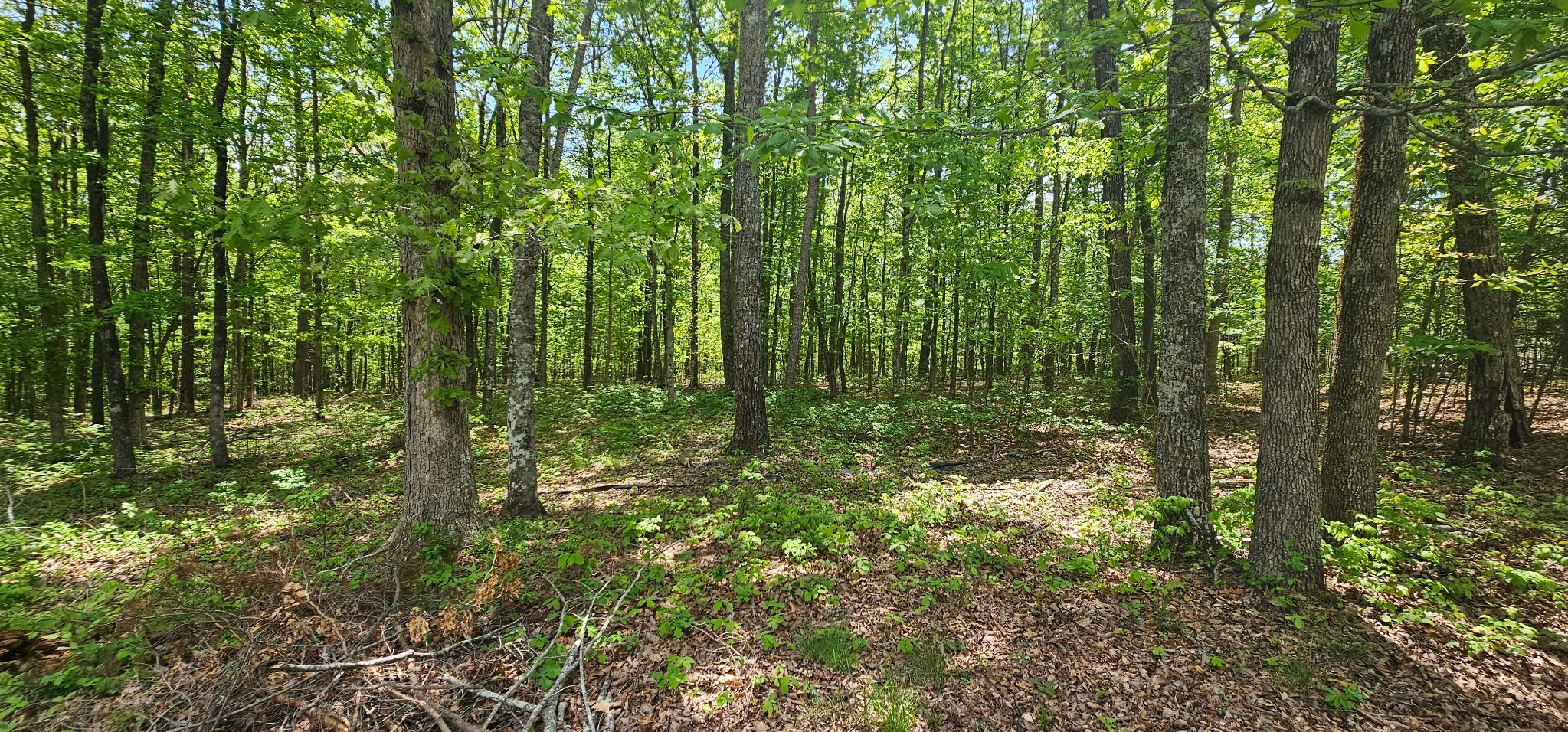 0 Twilight Trail Dunlap TN 37327
