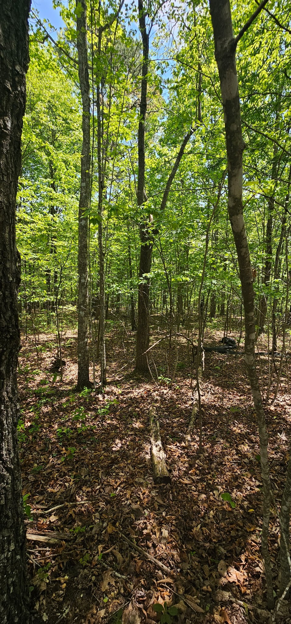 0 Twilight Trail Dunlap TN 37327