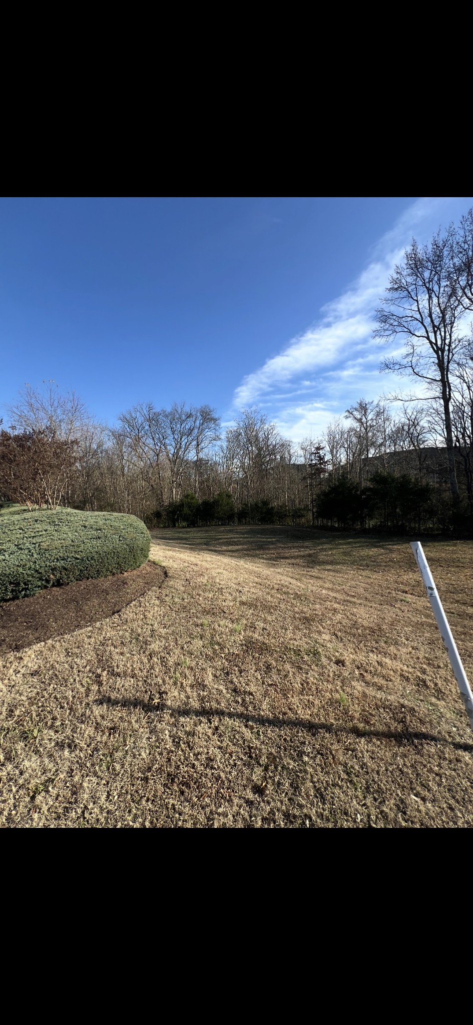2704 Jasmine Street Lebanon TN 37087