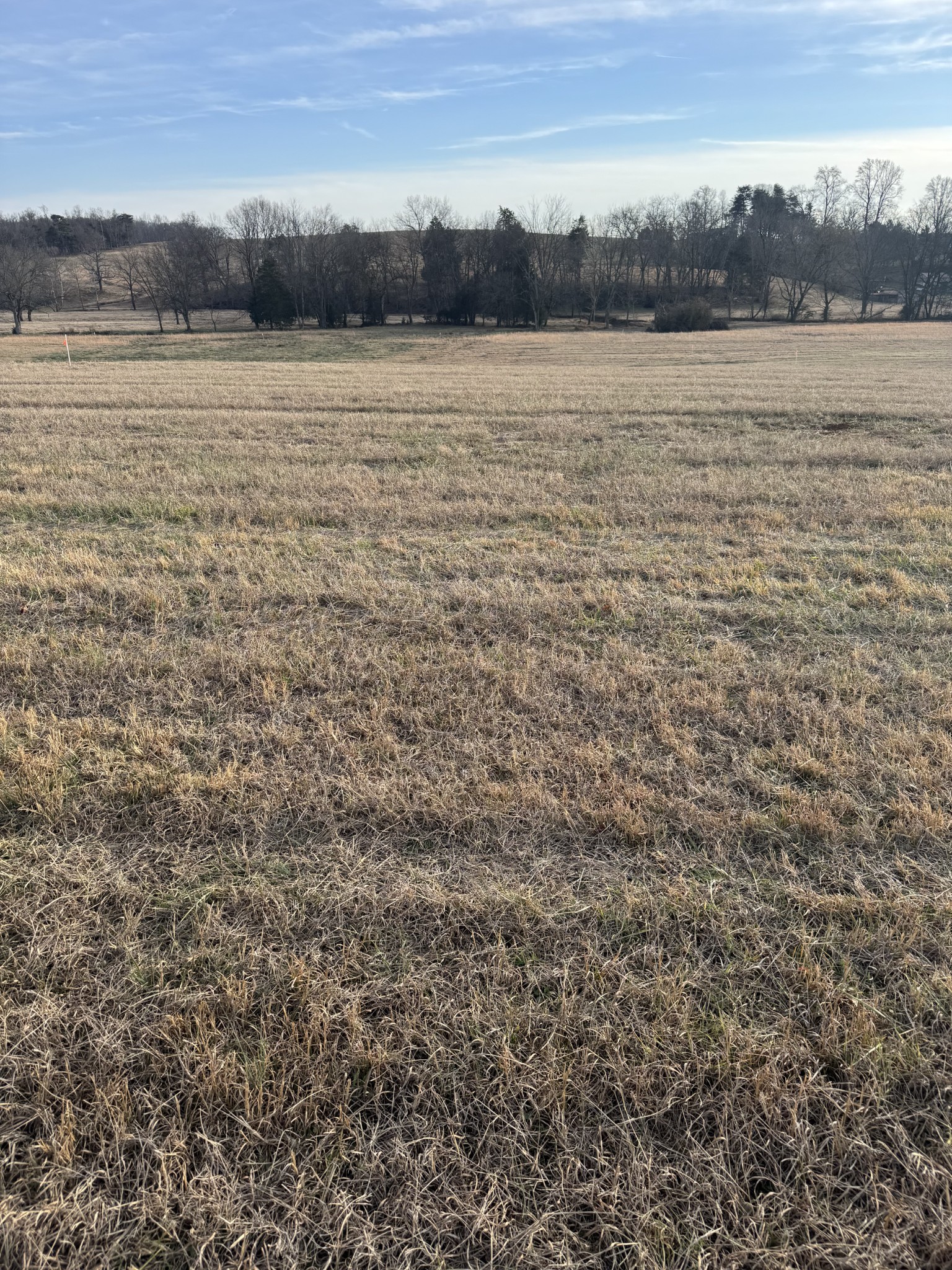 20 Clay County Highway Moss TN 38575