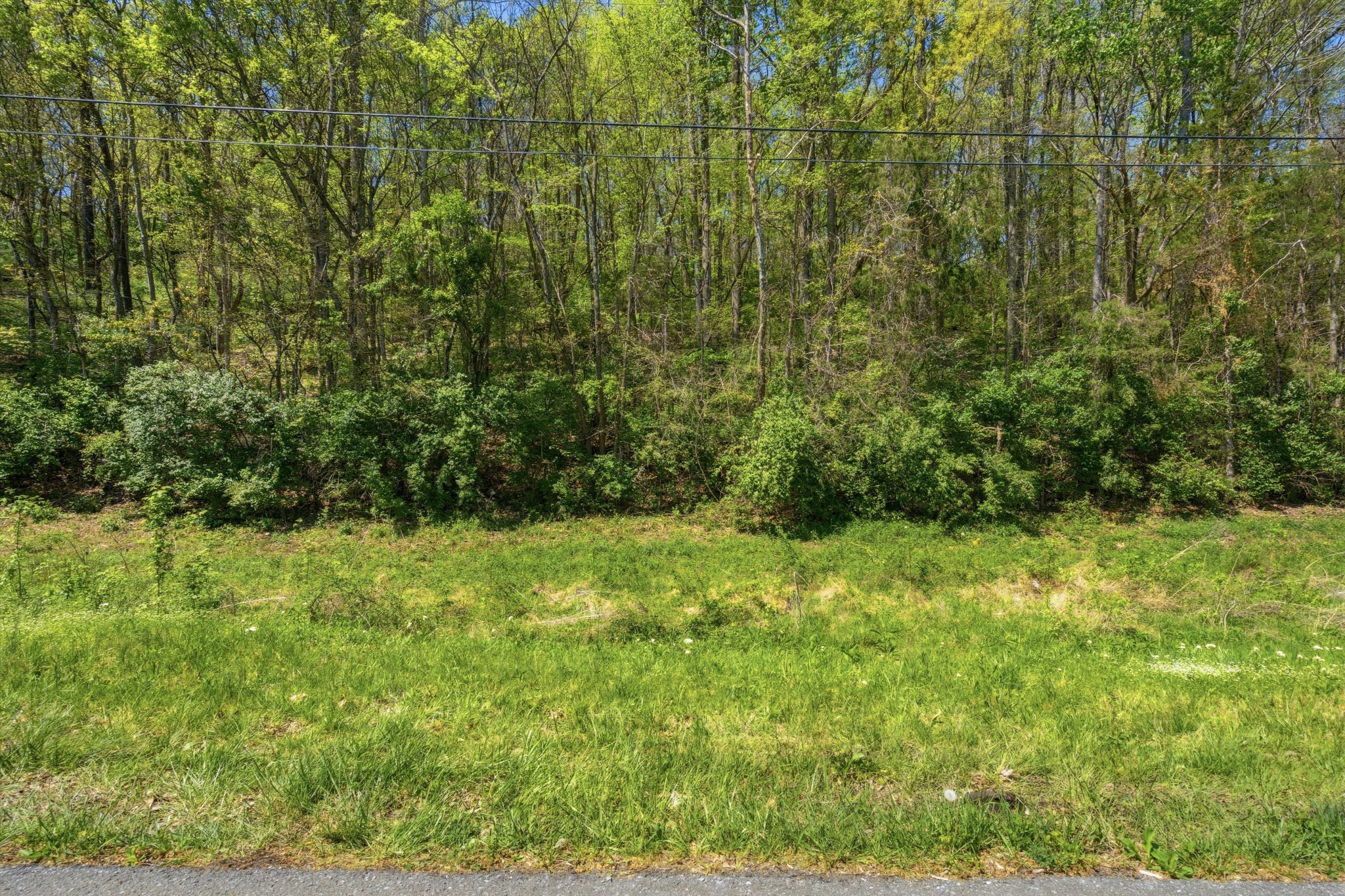 791 High Point Ridge Franklin TN 37069